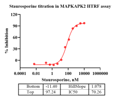 K130810011-MAPKAPK2-2.png