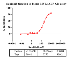 K140130011-Biotin-MST2-2.png