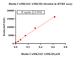 G140112011 -Biotin-CaMK2δ(CAMK2D)-1.png