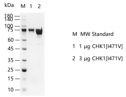 K140509011-CHK1[I471V].png