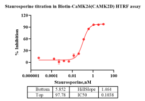 G140112011 -Biotin-CaMK2δ(CAMK2D)-2.png