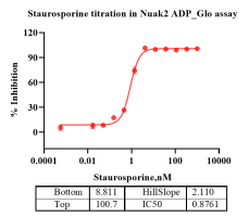 K140511011-Biotin-Nuak2-2.png