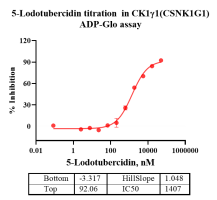 G130410011-CK1γ1(CSNK1G1)-1-2.png