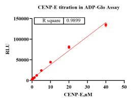 A130808021-CENP-E (Motor Domain)-1.png