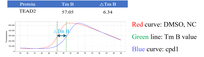 D130629011-TEAD2 (YBD).png