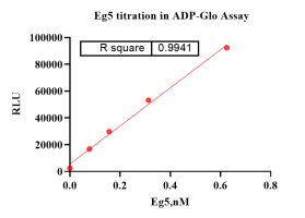 A130808013-Eg5(Motor Domain)-1.png