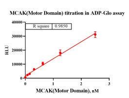 D140227021-MCAK(Motor Domain).png