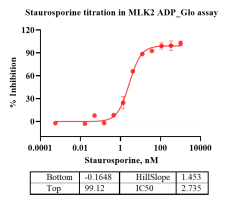 G140523021-Biotin-MLK2-2.png