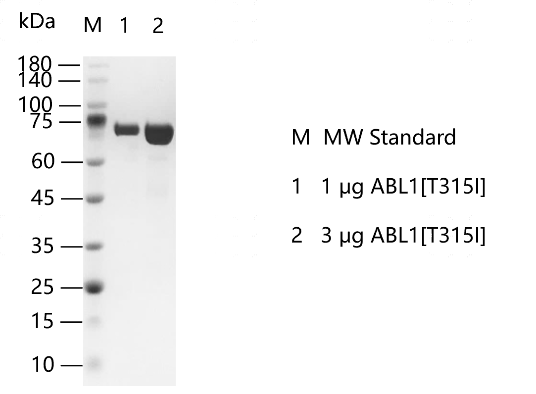 ABL1[T315I]-K140516011.png