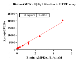 G140808011-Biotin-AMPKα1β1γ1-1.png