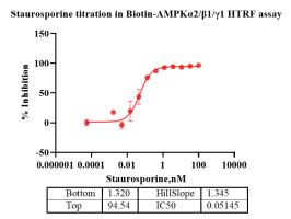 K140909011-Biotin-AMPKα2β1γ1-2.png