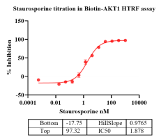 K140828011-Biotin-AKT1-2.png