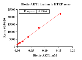 K140828011-Biotin-AKT1-1.png