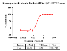 K140812011-Biotin-AMPKα1β2γ1-2.png