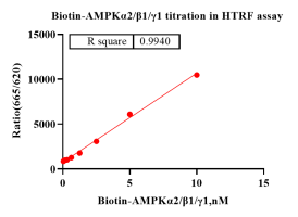 K140909011-Biotin-AMPKα2β1γ1-1.png