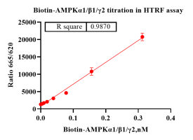 G140828021-Biotin-AMPKα1β1γ2-1.png