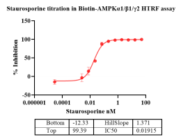 G140828021-Biotin-AMPKα1β1γ2-2.png