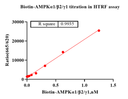 K140812011-Biotin-AMPKα1β2γ1-1.png