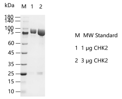 G140910011-CHK2.png