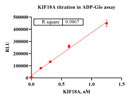KIF18a.png