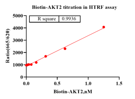 K140919011-Biotin-AKT2-1.png