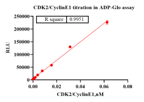 K140929011-CDK2CyclinE1-1.png