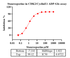 K140929011-CDK2CyclinE1-2.png