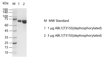 G141012012-ABL1[T315I](dephosphorylated)