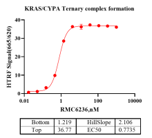 D140510011 -CypA-1.png