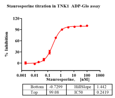 G141204021-TNK1-2.png