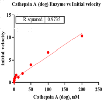 K150329011-Cathepsin A.png-1.png