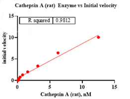 K150403014-Cathepsin A.png-1.png