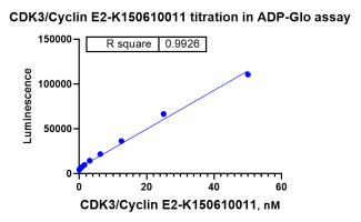 K150610011- CDK3 CyclinE2.png-1.png