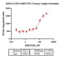 M150612021-Biotin-KRAS[G12D Y64H].png-2.