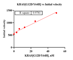 M150612021-Biotin-KRAS[G12D Y64H].png-1.