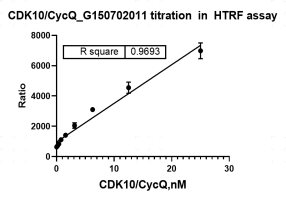 G150702011-CDK10 Cyclin Q.png-1.png