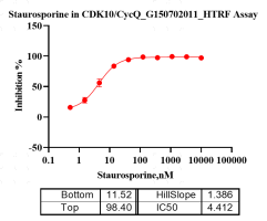 G150702011-CDK10 Cyclin Q.png-2.png