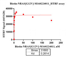 M160224011-Biotin-NRAS[G12V].png-1.png