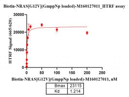 M160127011-Biotin-NRAS[G12V] (GmppNp loa