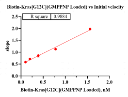 G160701021-Biotin-KRAS[G12C] (GmppNp loa