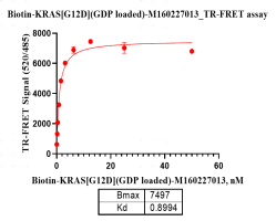 M160227013-Biotin-KRAS[G12D] (GDP loaded