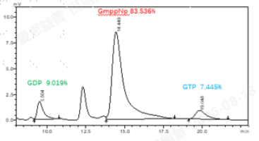 G160730021-Biotin-Kras[G12A] (GmppNp Loa