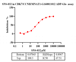 G160811012-CDK7-CCNH-MNAT1.png-2.png