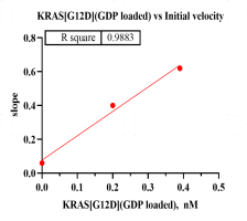 F160623064-KRAS[G12D] (GDP loaded).png-2