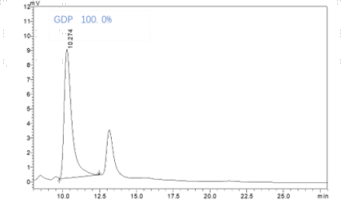 F160623064-KRAS[G12D] (GDP loaded).png-1